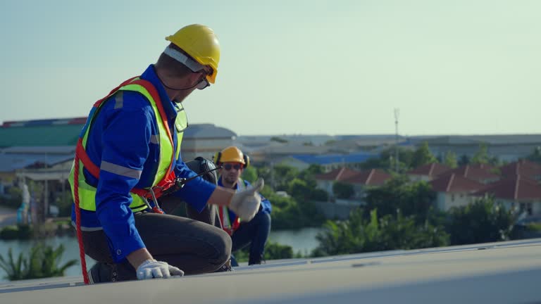 Best Roof Ventilation Installation  in Susan Moore, AL